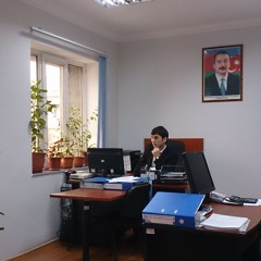Pervin Ehmedov