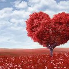 Tere_Bina_Main____Hayat_And_Murat____Loving_Couple.mp3