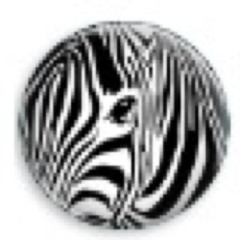 leah_zebra