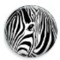 leah_zebra