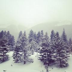 Claire Connor Bohlen