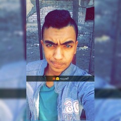 mostafahamamm333