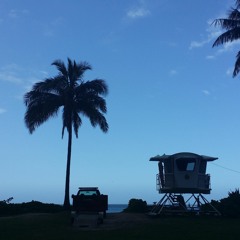 Mark Kendall Andrews