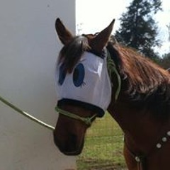 Mary Nicole Adkinson