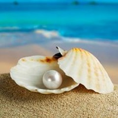 Stream Pearly Shells Music Listen To Songs Albums Playlists For Free On Soundcloud