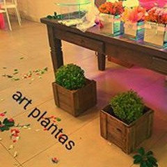 Artplantas Artplantas