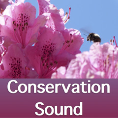 Conservation Sound