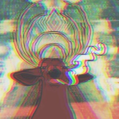 flashmobed