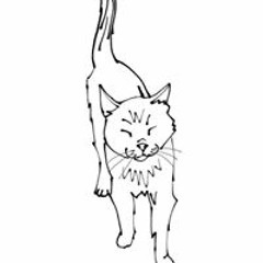 Borja Rossich Darder