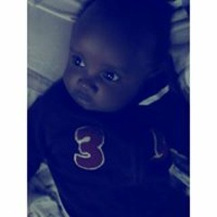 Beatifull Wambo Jaybird