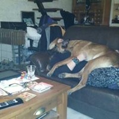 Natalie Klaassen Bos