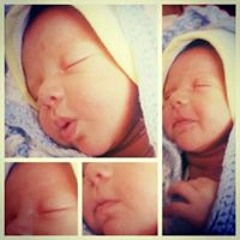 Diga Habeby