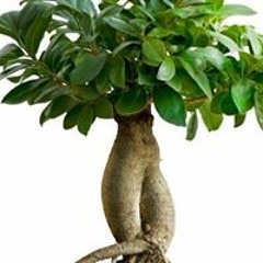 Juan Manuel Valdovinos