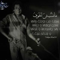 Ahmed Abd El-razek