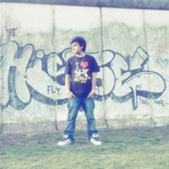 Luis Felipe Araya Vargas