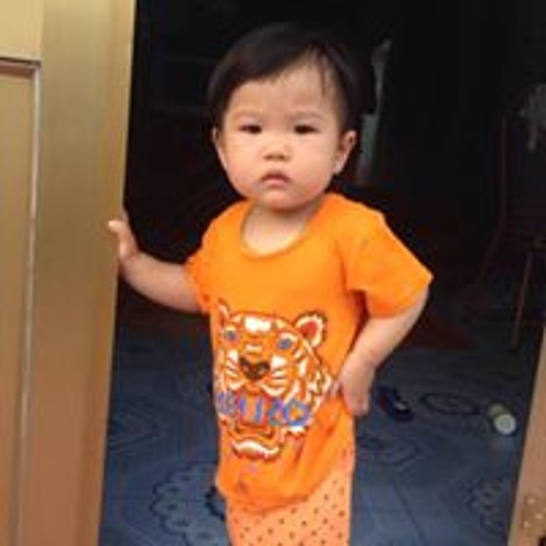 Bay Phong 5h - 2020 New
