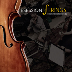FILM - "1m4 48khz" Ehud Freedman - STRING SECTION