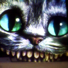 Cheshire Cat