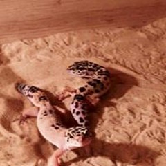 Jason Draper-Ireland