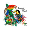 Soundcloud for Tropical Disco Hustle