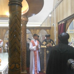 dansalib28