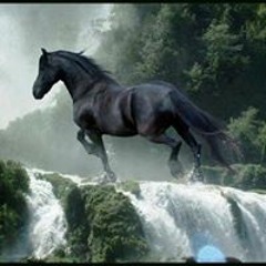 Ghulam Mujtaba Tariq