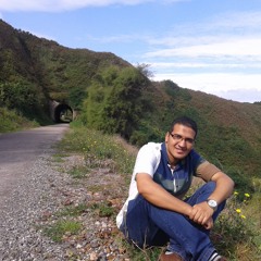 Ahmed Fathy Abou-Zeid