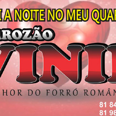 Forrozão Vinil