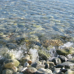 Cevsen IhsanA tasoy