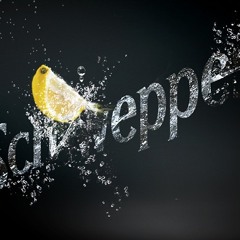 SchweppeS.