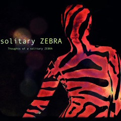 solitary ZEBRA