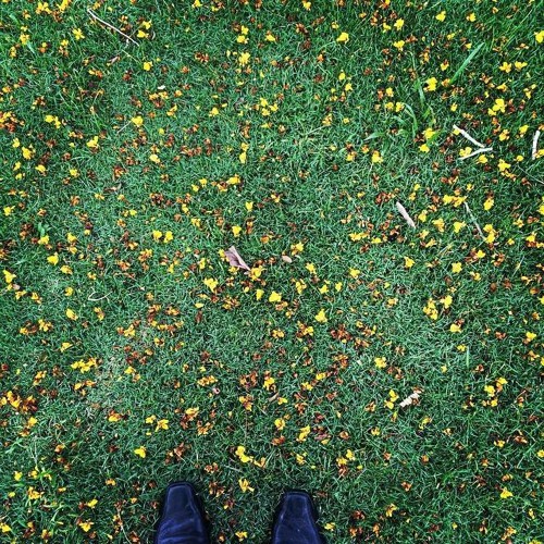 nyi lay (yatha+kyat pha)