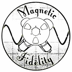 Magnetic Fidelity