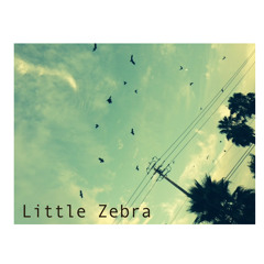 little.zebra