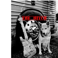 ROCK in the USA