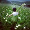 Shuan