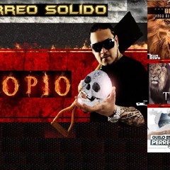 perreosolido