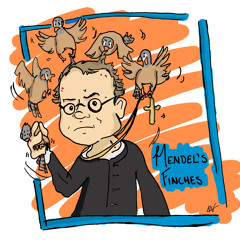 Mendel's Finches