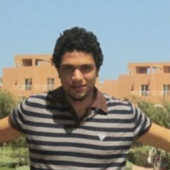 Moamen Adel