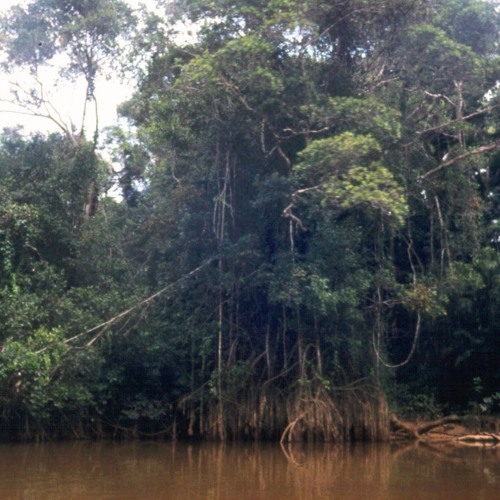 Nas feat. Havoc - The Set Up (Remix)