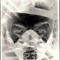 ☢ BRSK77CREW-FaZ Lé-K-D ☢