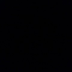 shak_d