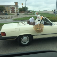 113 Degrees in the Shade