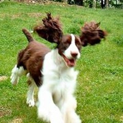 Sherren Andrews Mouradian