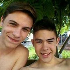 Pipistellus Pygmaeus