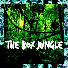 The Box Jungle