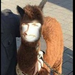 Daniel Saint-Aulbins