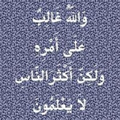 Ehab Abdelmageed