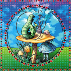 ॐMushrooms hunterॐ