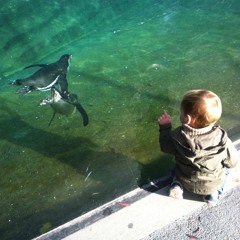 Bach - WTC - Prelude 2